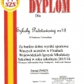 dyplom liga 2015-2016