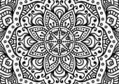 89836719_2952295364829149_7638783370989666304_n