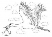 images (4)