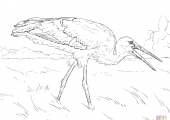 realistic-white-stork-coloring-pages