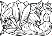 tulips-coloring-page