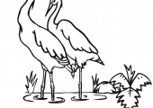 two-storks-coloring-page