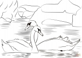 two-swans-coloring-page